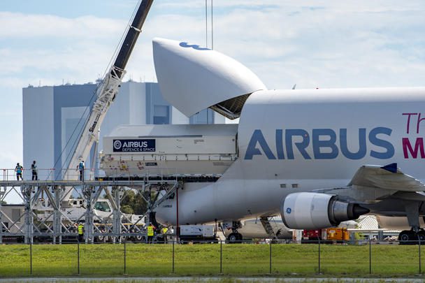 Beluga