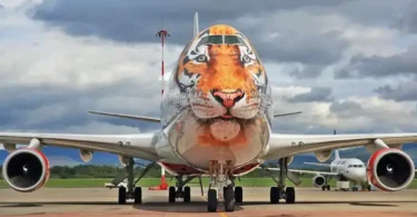 Jumbo