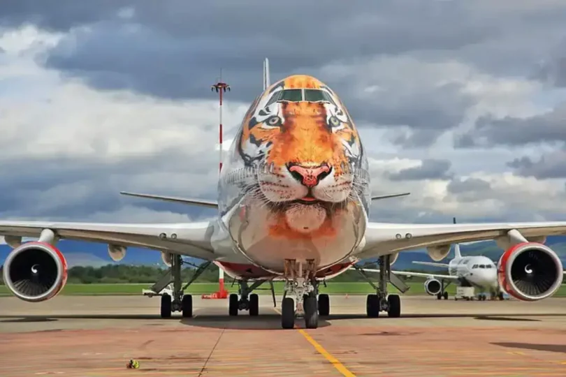 Jumbo