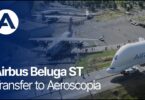 Beluga muzej