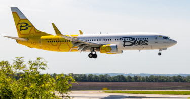 Bees_Airline,_Boeing