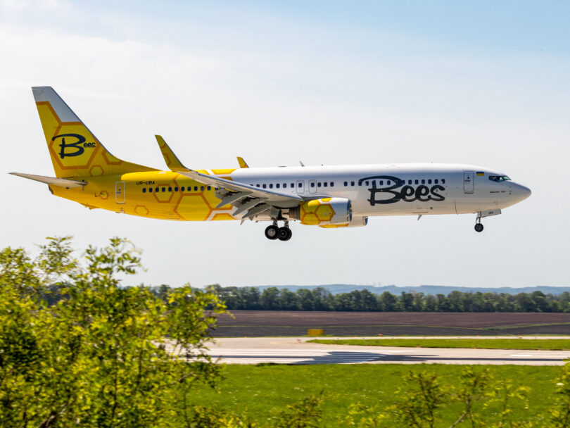 Bees_Airline,_Boeing